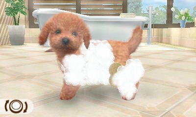 Nintendo 3DS - Nintendogs + Gatos: Golden Retiever