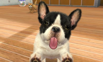 Nintendo 3DS - Nintendogs + Gatos: Golden Retiever