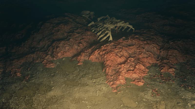 Soedesco - Saint Kotar pour PS5