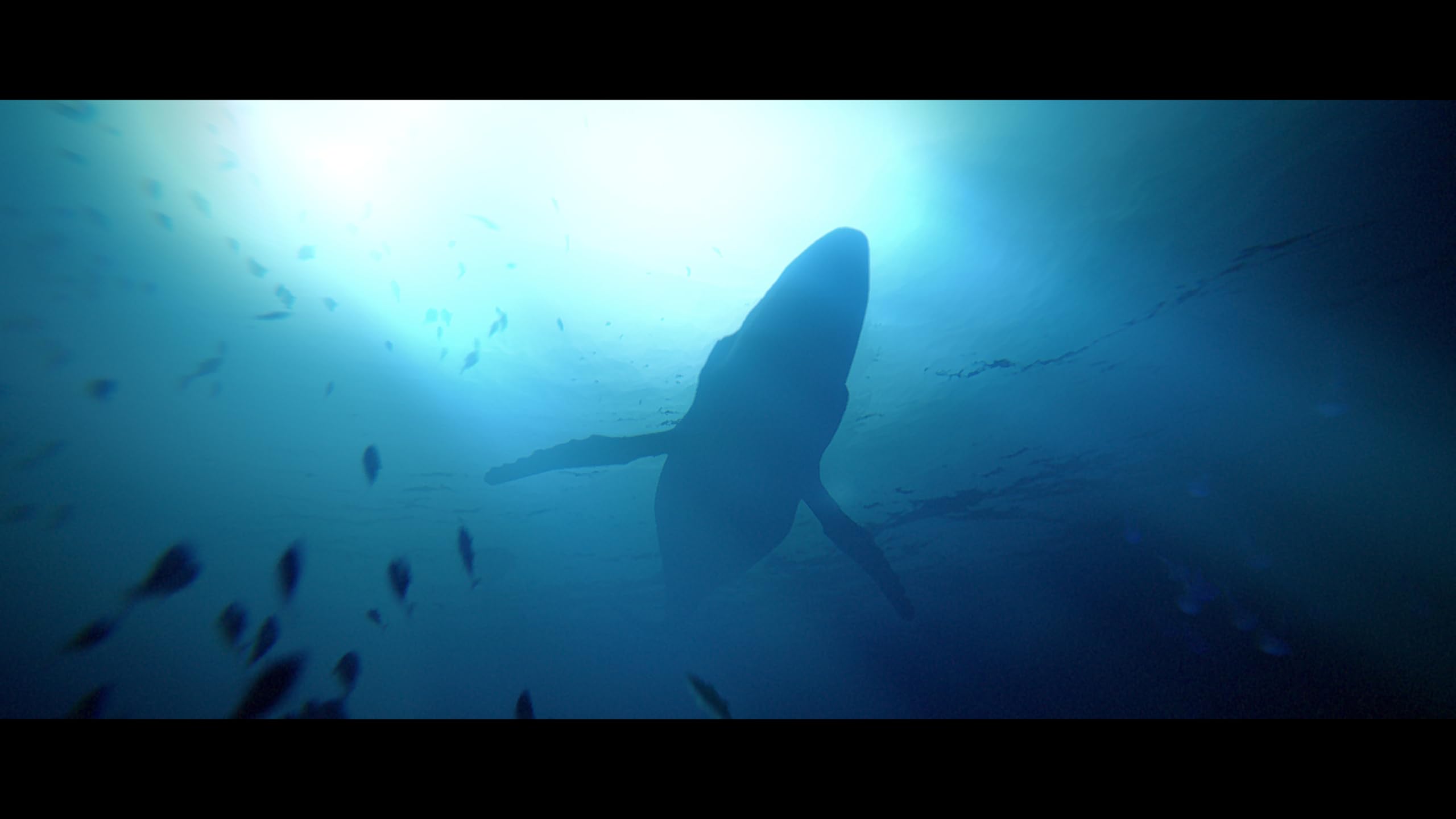 Under The Waves Deluxe Edition