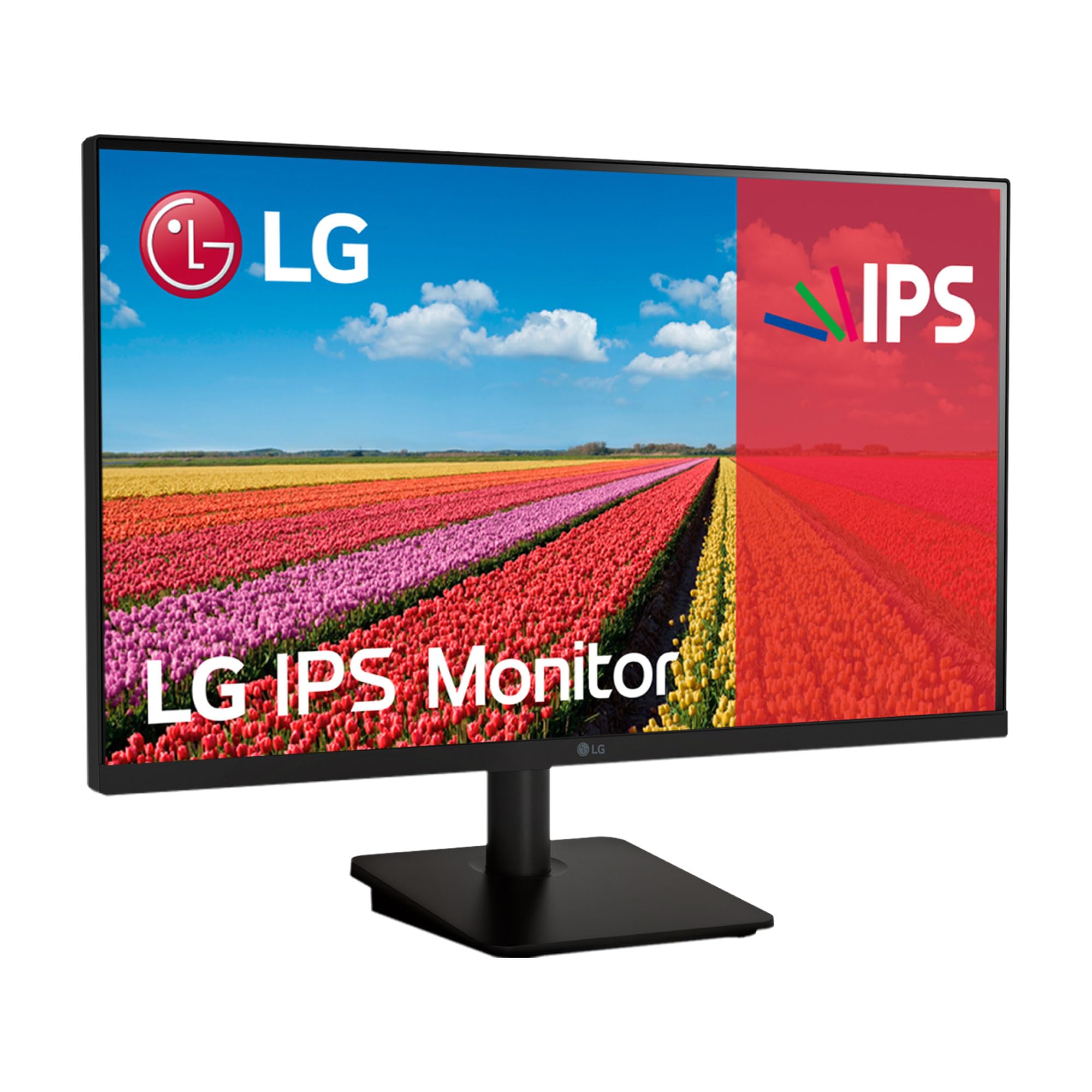 Monitor LG 25MS500-B 24.5'/ Full HD/ Negro