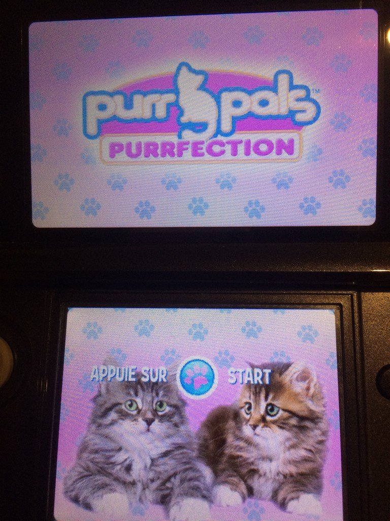 Nintendo Purrpals Purrfection - Juego de Mascotas Virtuales para Nintendo DS
