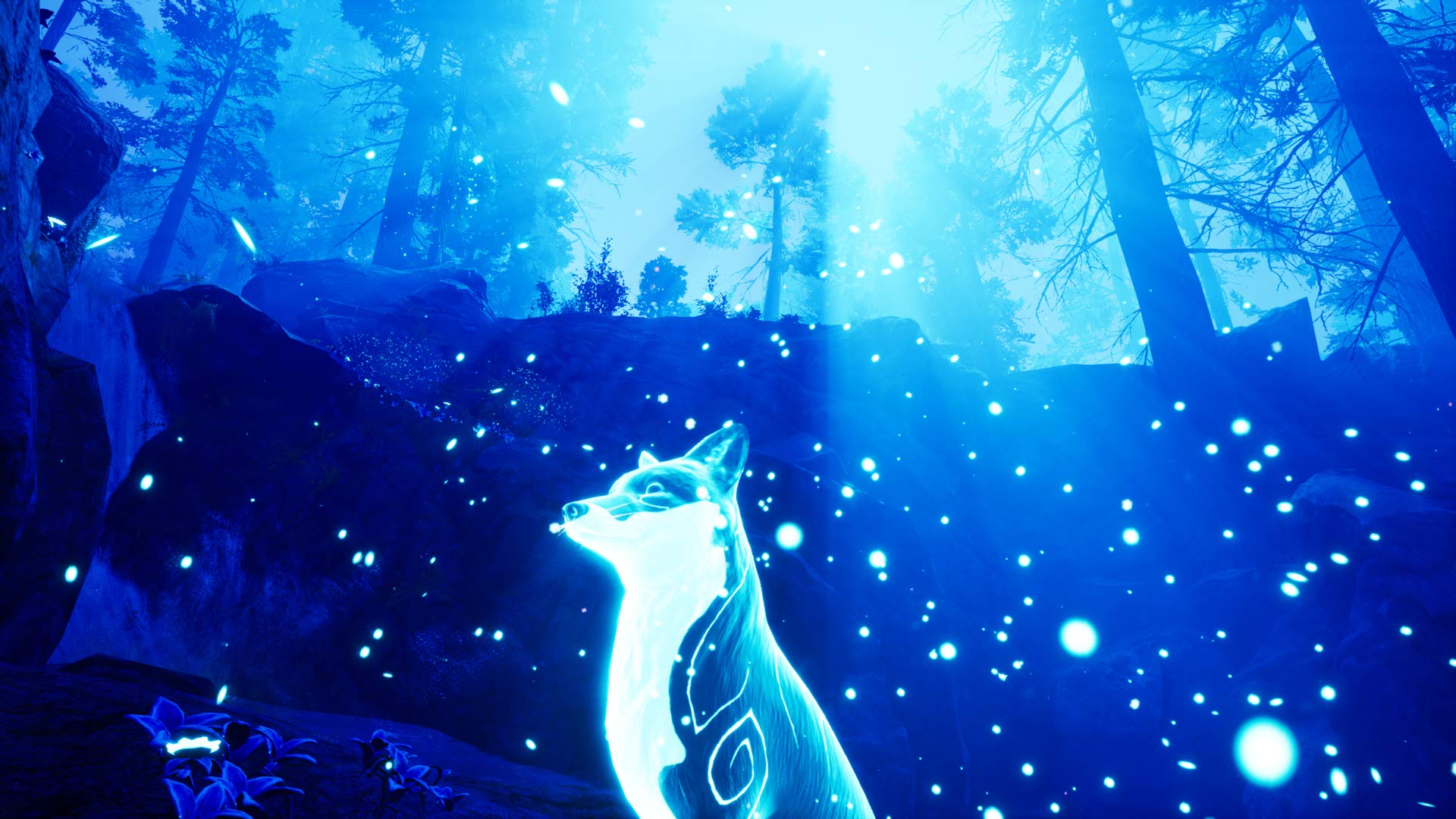 Spirit Of The North PS4 - PAL ESP - Nuevo