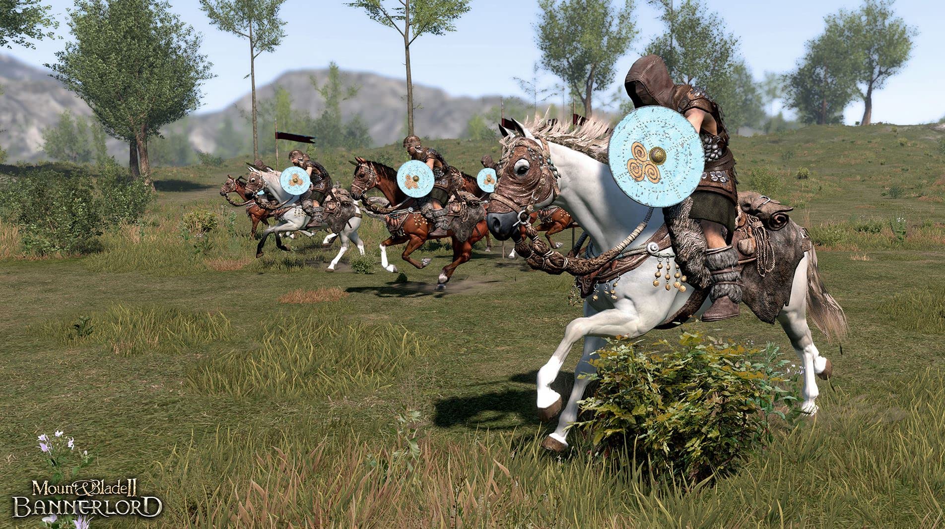 Mount & Blade Ii: Bannerlord Y