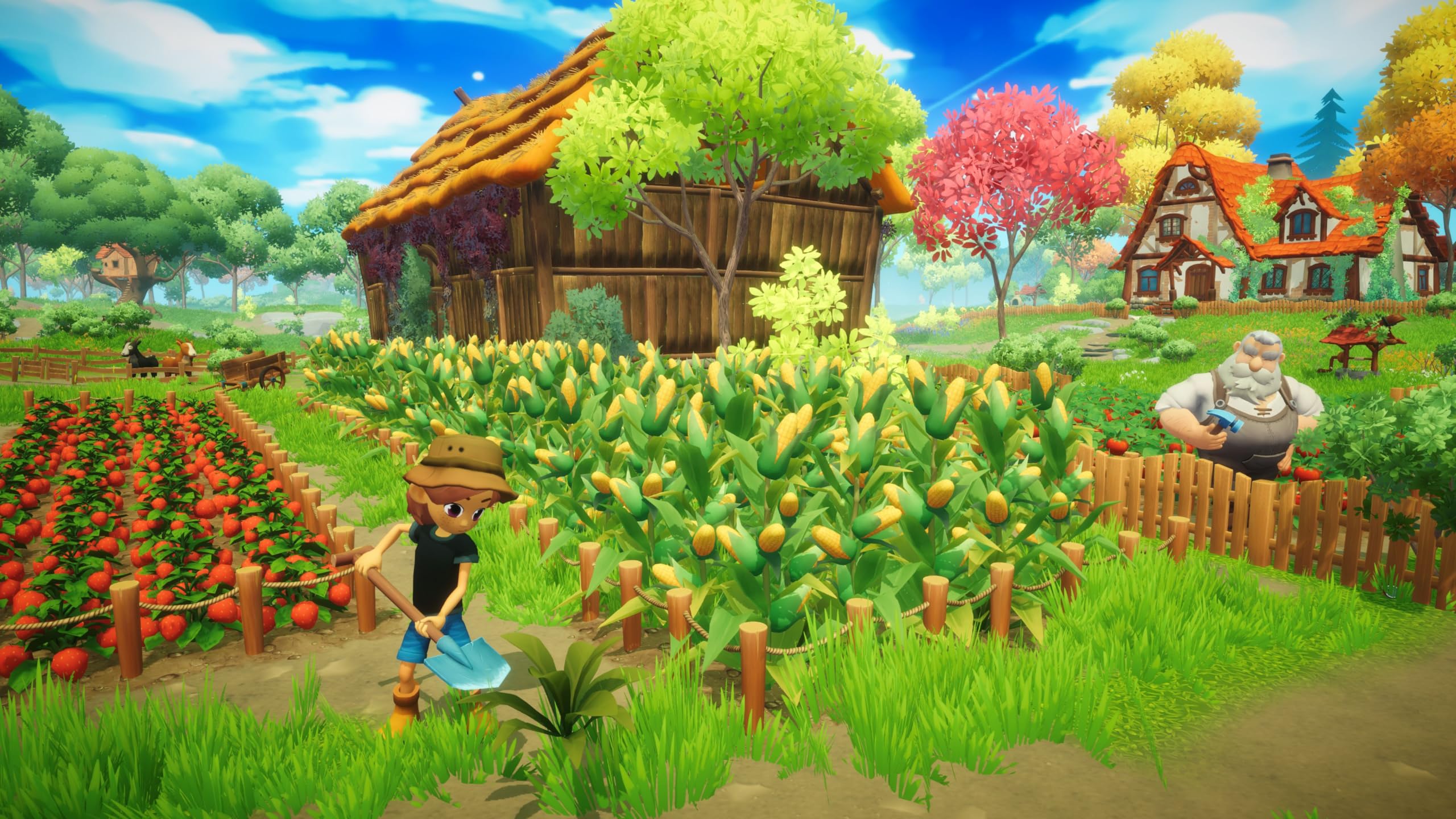 Everdream Valley PS5 - [PAL ESP] - Nuevo