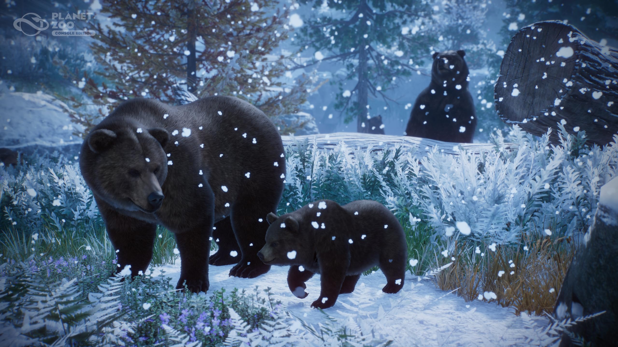 Planet Zoo: Console Edition (Xbox Series X)