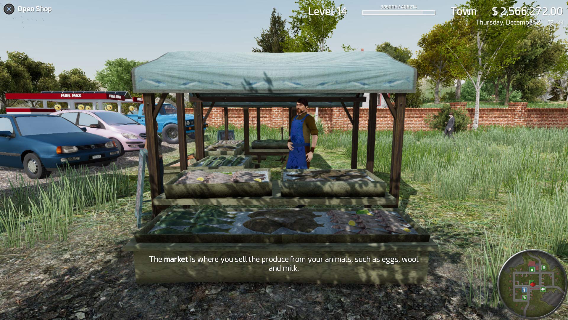 Professional Farmer: American Dream