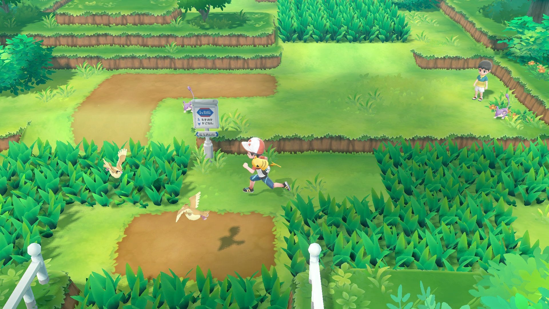 POKEMON LET'S GO EEVEE !