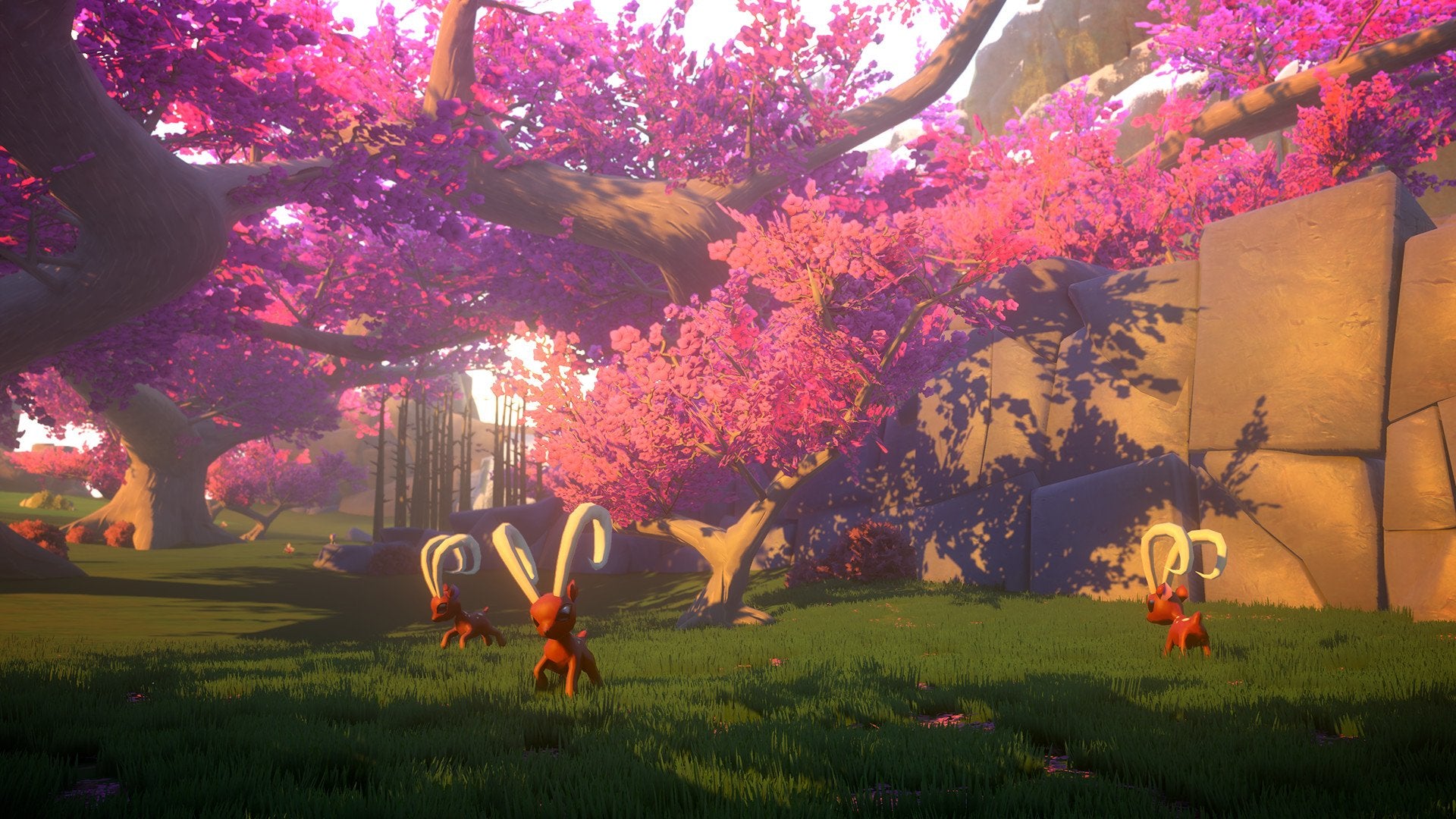 Yonder. The Cloud Catcher Chronicles Enhanced Edition (Signature Edition)