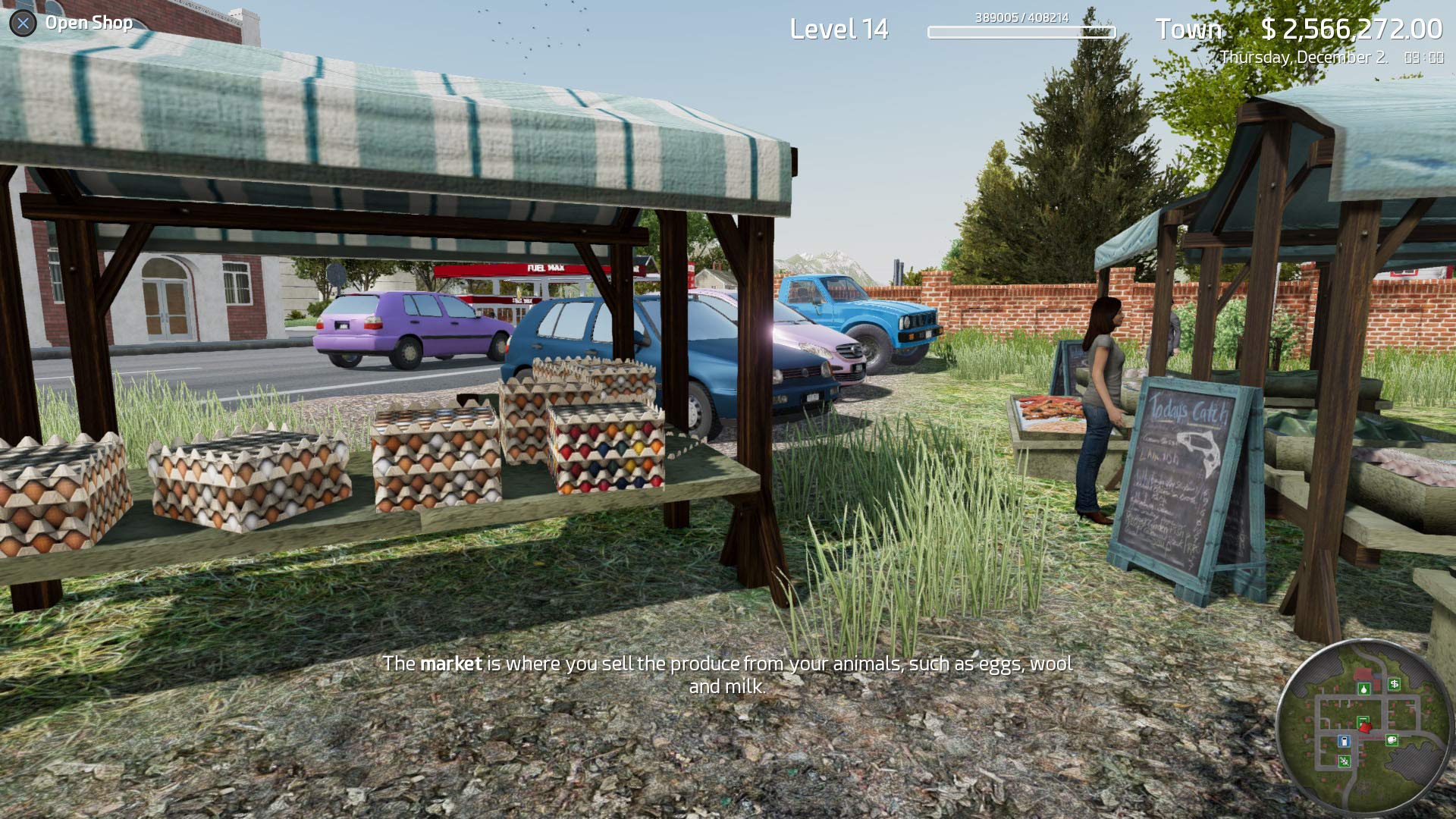 Professional Farmer: American Dream