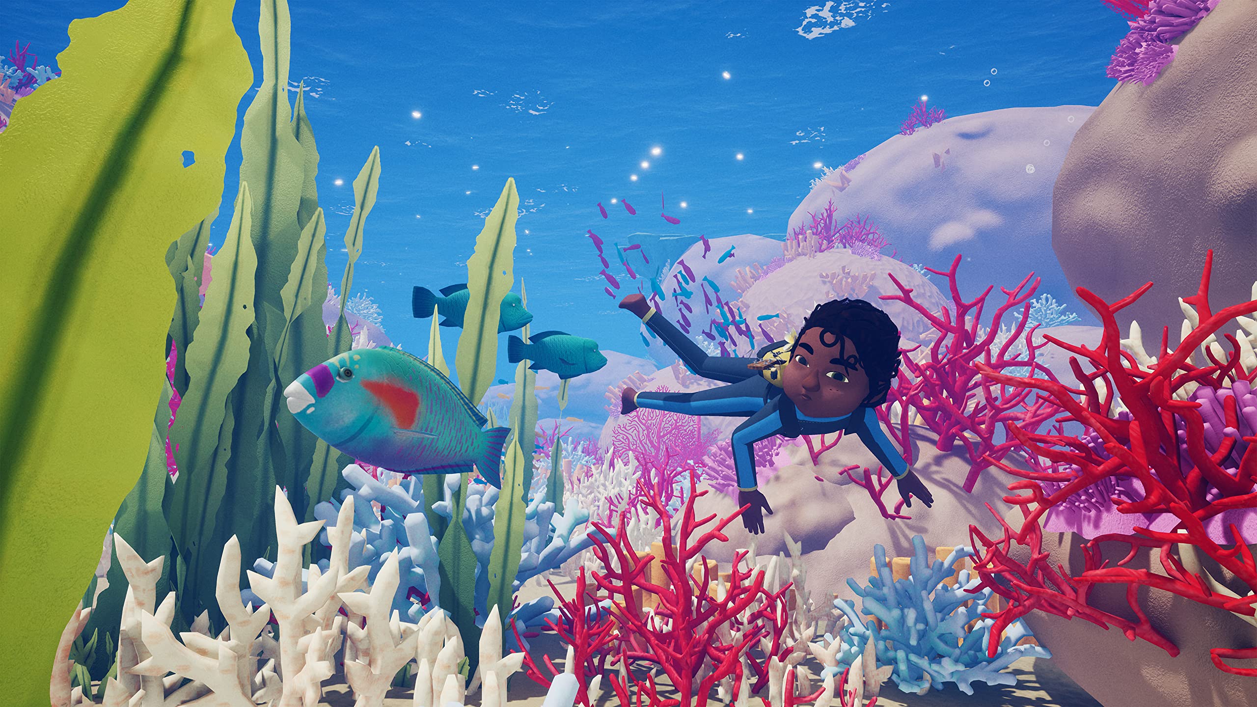 Tchia: OléTi Edition PS4 - [PAL ESP] - Nuevo