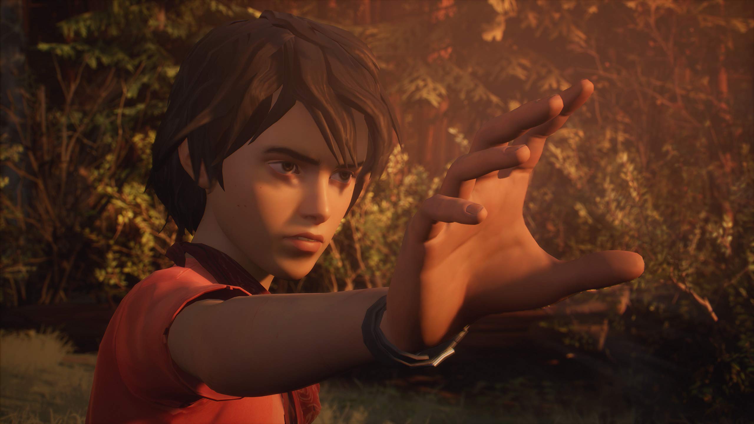 Life Is Strange 2