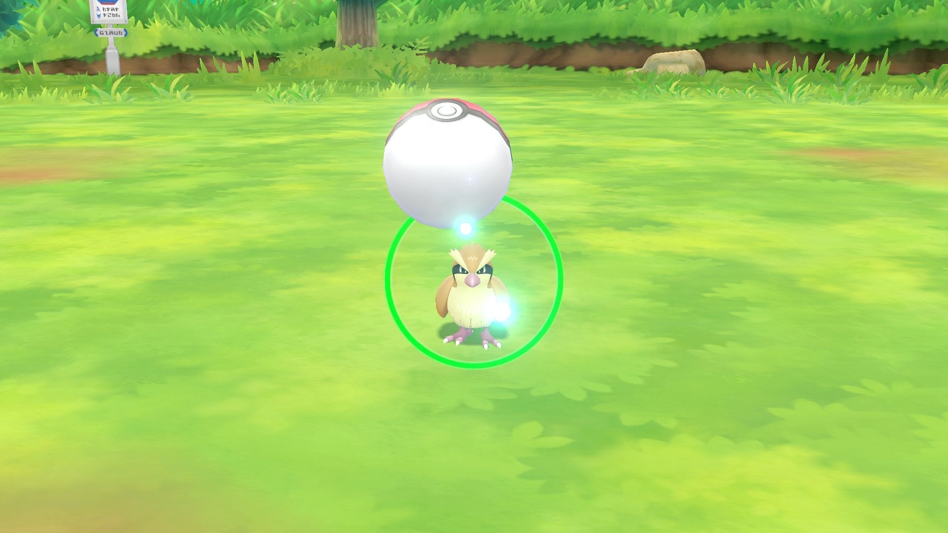 POKEMON LET'S GO EEVEE !