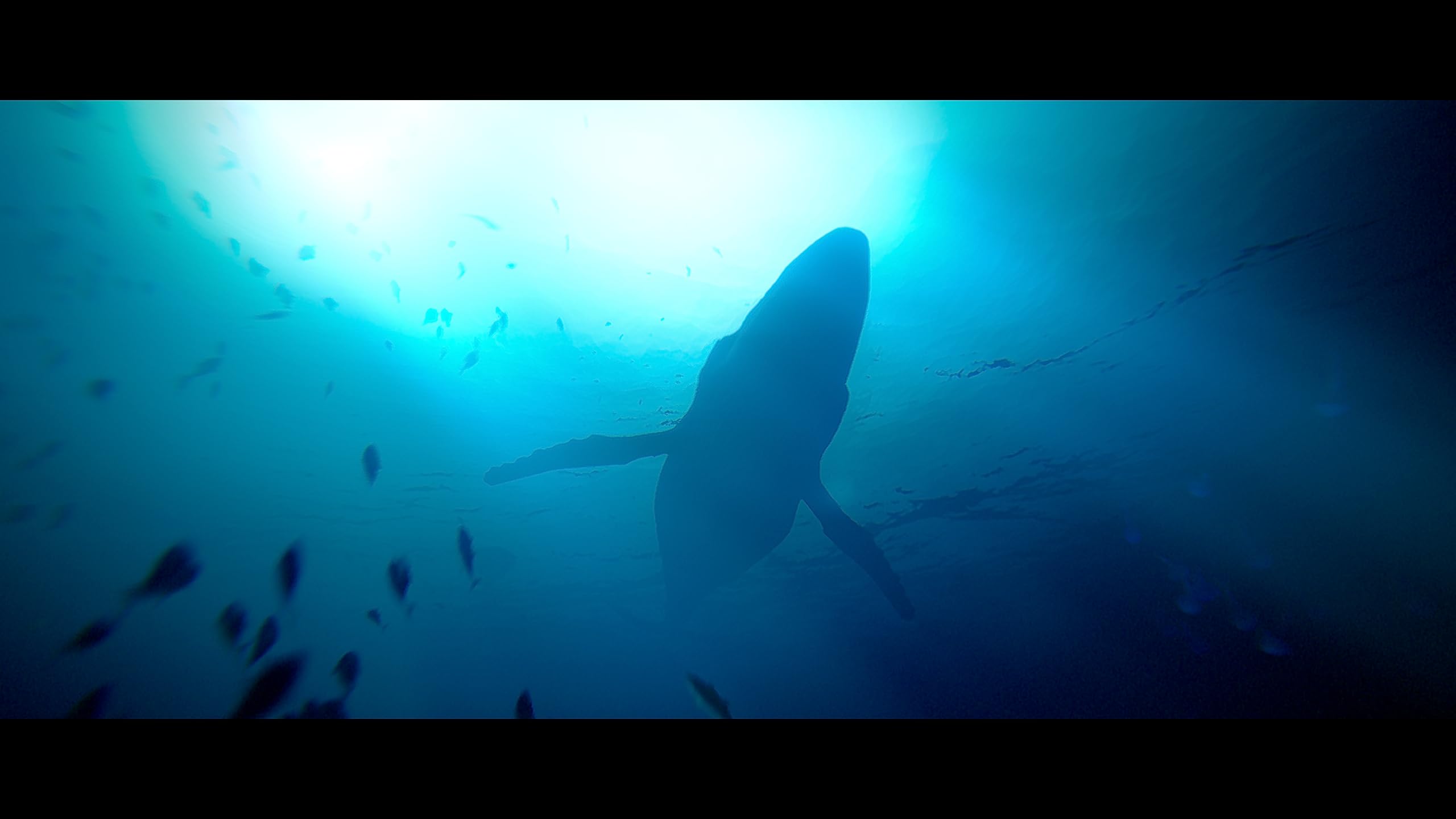 Under The Waves Deluxe Edition
