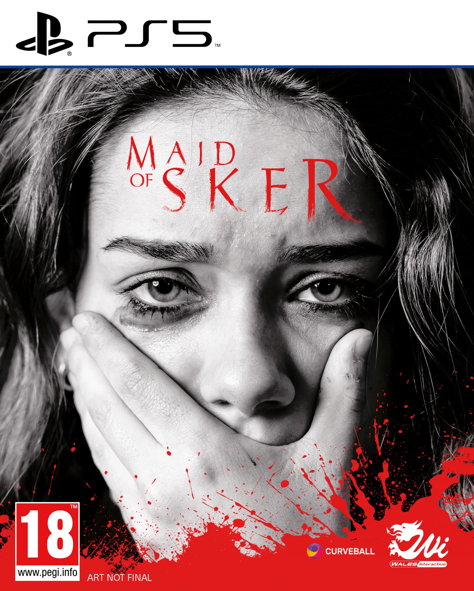 Maid of Sker - PS5